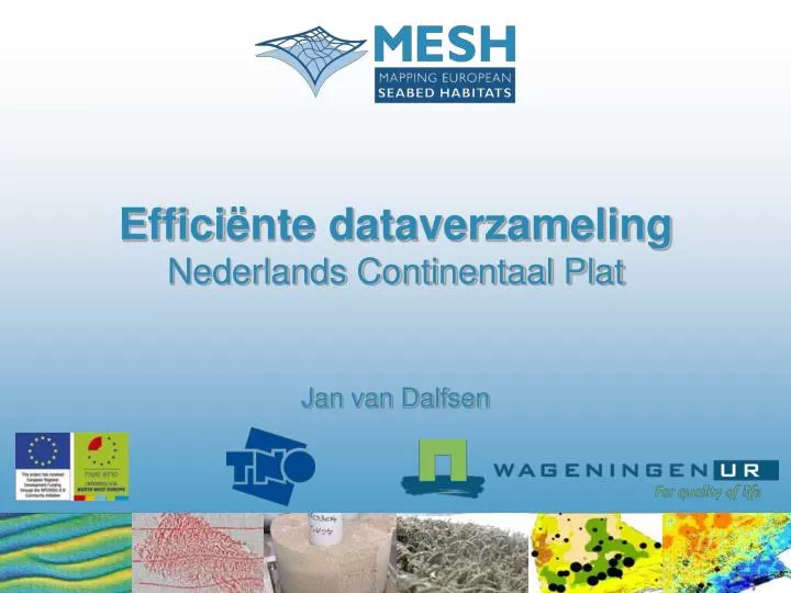 effici nte dataverzameling nederlands continentaal plat