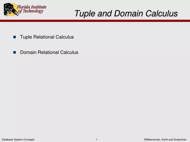 tuple and domain calculus