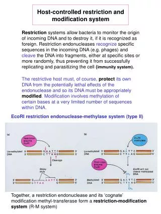 Host-controlled restriction and modification system