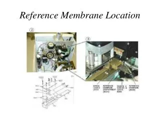 Reference Membrane Location