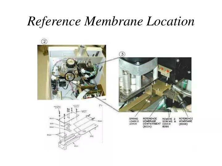 reference membrane location