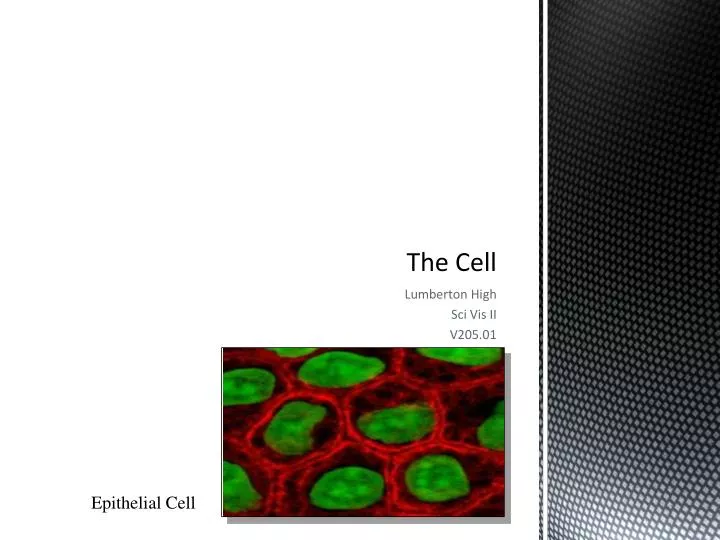 the cell