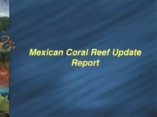 Mexican Coral Reef Update Report