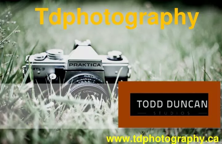 tdphotography