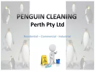 Penguin Cleaning Perth