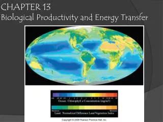 CHAPTER 13 Biological Productivity and Energy Transfer
