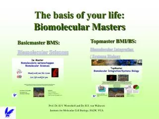 The basis of your life: Biomolecular Masters