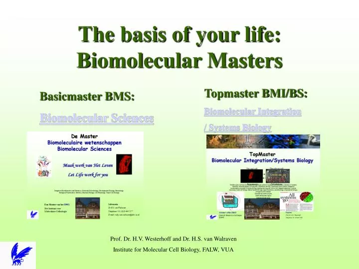 the basis of your life biomolecular masters