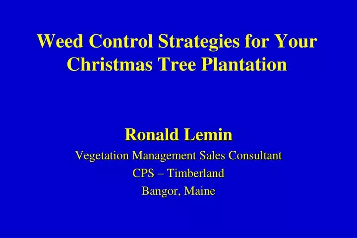 weed control strategies for your christmas tree plantation