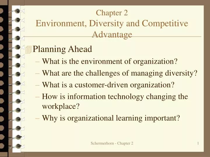 chapter 2 environment diversity and competitive advantage