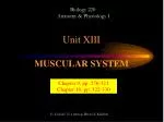 Understanding Muscle Contraction: Sliding Filament Theory and Muscle Disorders - slide 1