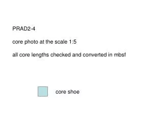 PRAD2-4 core photo at the scale 1:5 all core lengths checked and converted in mbsf