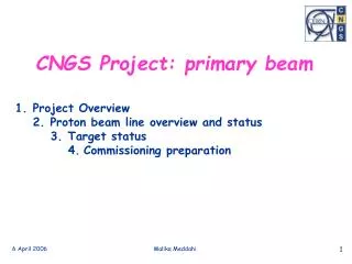 CNGS Project: primary beam