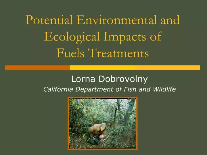 potential environmental and ecological impacts of fuels treatments