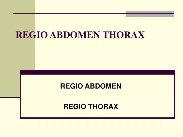 regio abdomen thorax