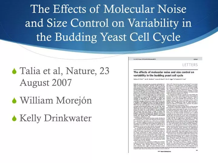 the effects of molecular noise and size control on variability in the budding yeast cell cycle