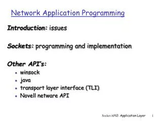Network Application Programming