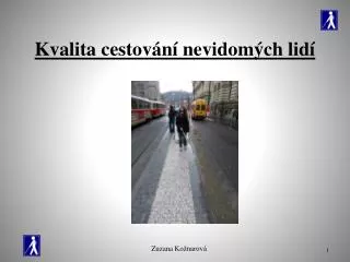 kvalita cestov n nevidom ch lid