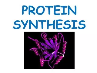 PROTEIN SYNTHESIS