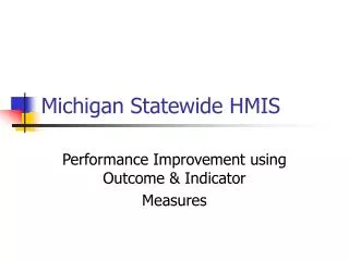 Michigan Statewide HMIS