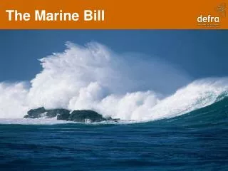 The Marine Bill