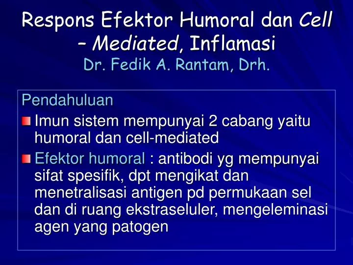 respons efektor humoral dan cell mediated inflamasi dr fedik a rantam drh