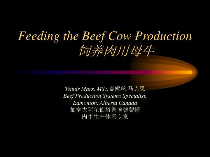 feeding the beef cow production