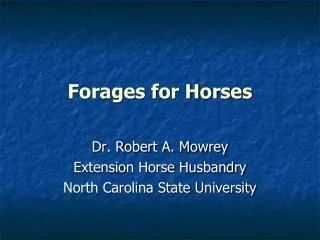 Forages for Horses