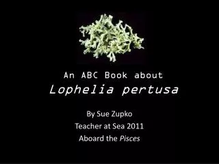 An ABC Book about Lophelia pertusa