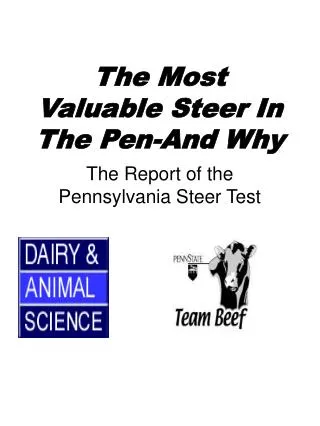 The Most Valuable Steer In The Pen-And Why