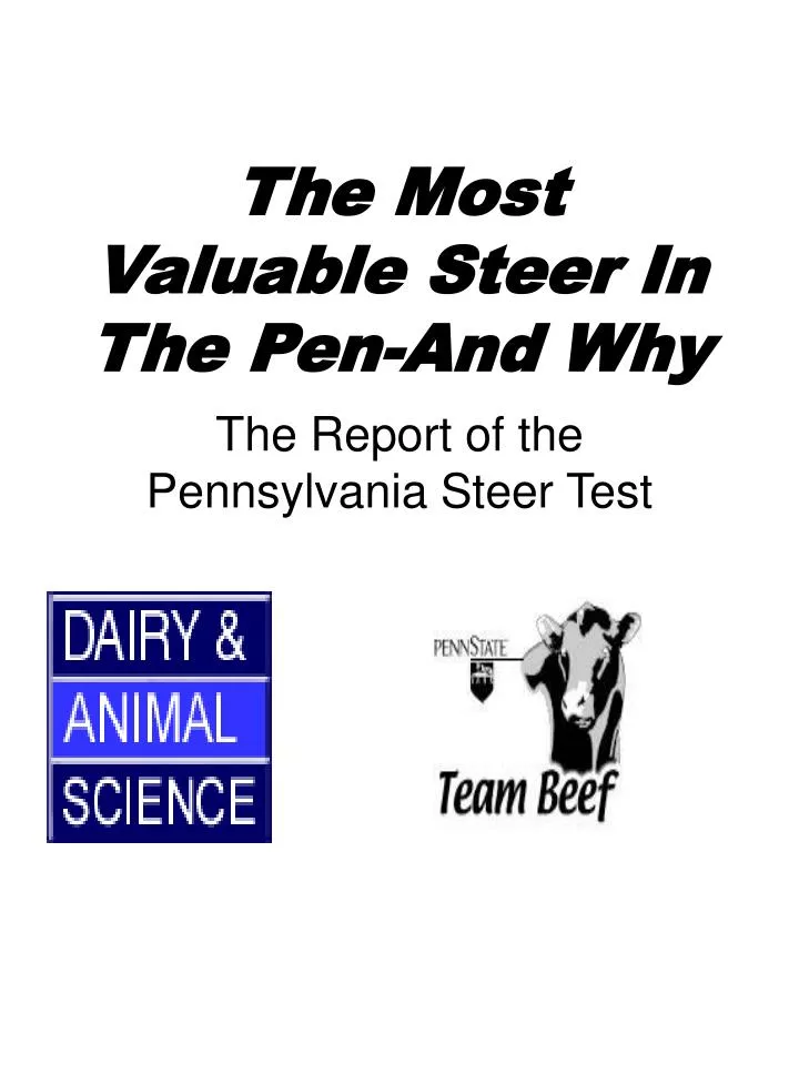 the most valuable steer in the pen and why