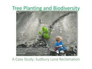 Tree Planting and Biodiversity