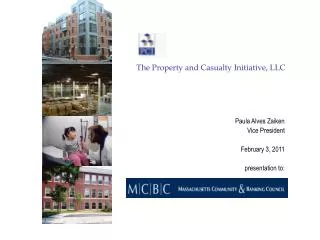 Paula Alves Zaiken Vice President February 3, 2011 presentation to: