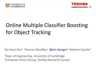 Online Multiple Classifier Boosting for Object Tracking