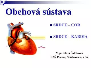 obehov s stava
