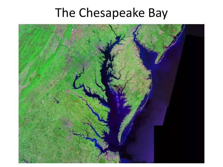 the chesapeake bay