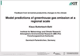 Feedback from terrestrial productivity changes to the climate