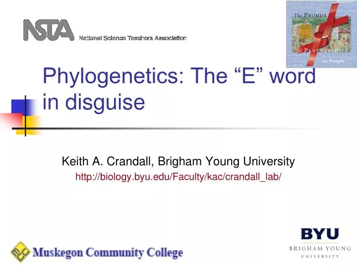 phylogenetics the e word in disguise