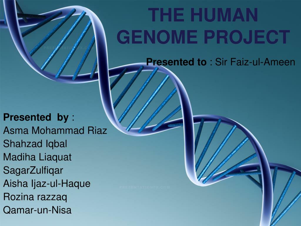 PPT - THE HUMAN GENOME PROJECT PowerPoint Presentation, free download ...