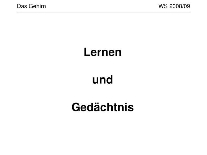 das gehirn ws 2008 09