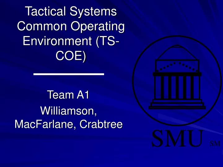 tactical systems common operating environment ts coe