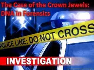 The Case of the Crown Jewels: DNA in Forensics