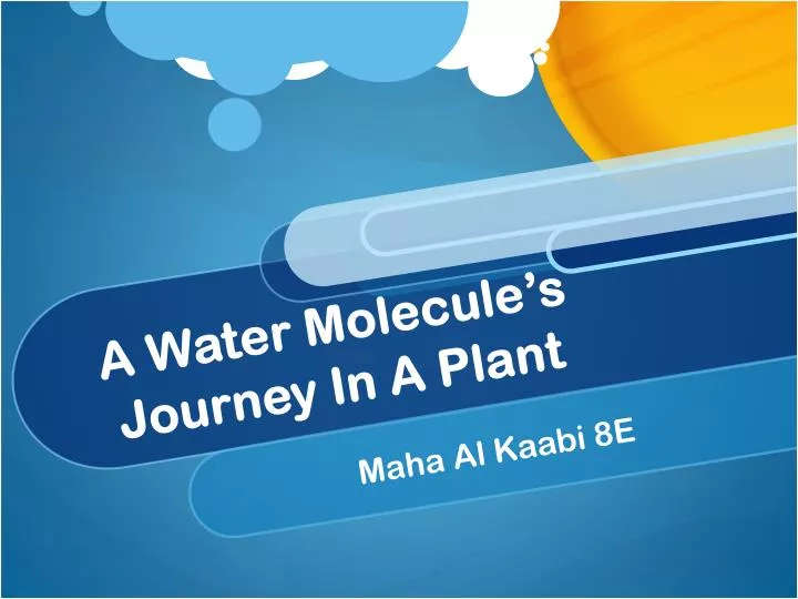 a water molecule s journey in a plant