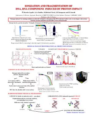 IONIZATION AND FRAGMENTATION OF DNA, RNA COMPONENS INDUCED BY PROTON IMPACT