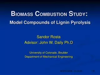 B IOMASS C OMBUSTION S TUDY : Model Compounds of Lignin Pyrolysis