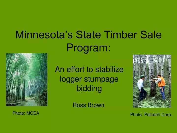 minnesota s state timber sale program