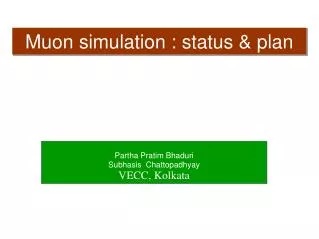 Muon simulation : status &amp; plan