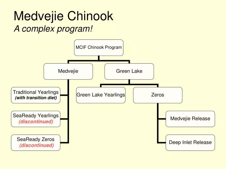 medvejie chinook a complex program