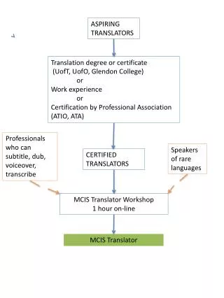 MCIS Translator