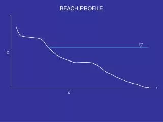 BEACH PROFILE